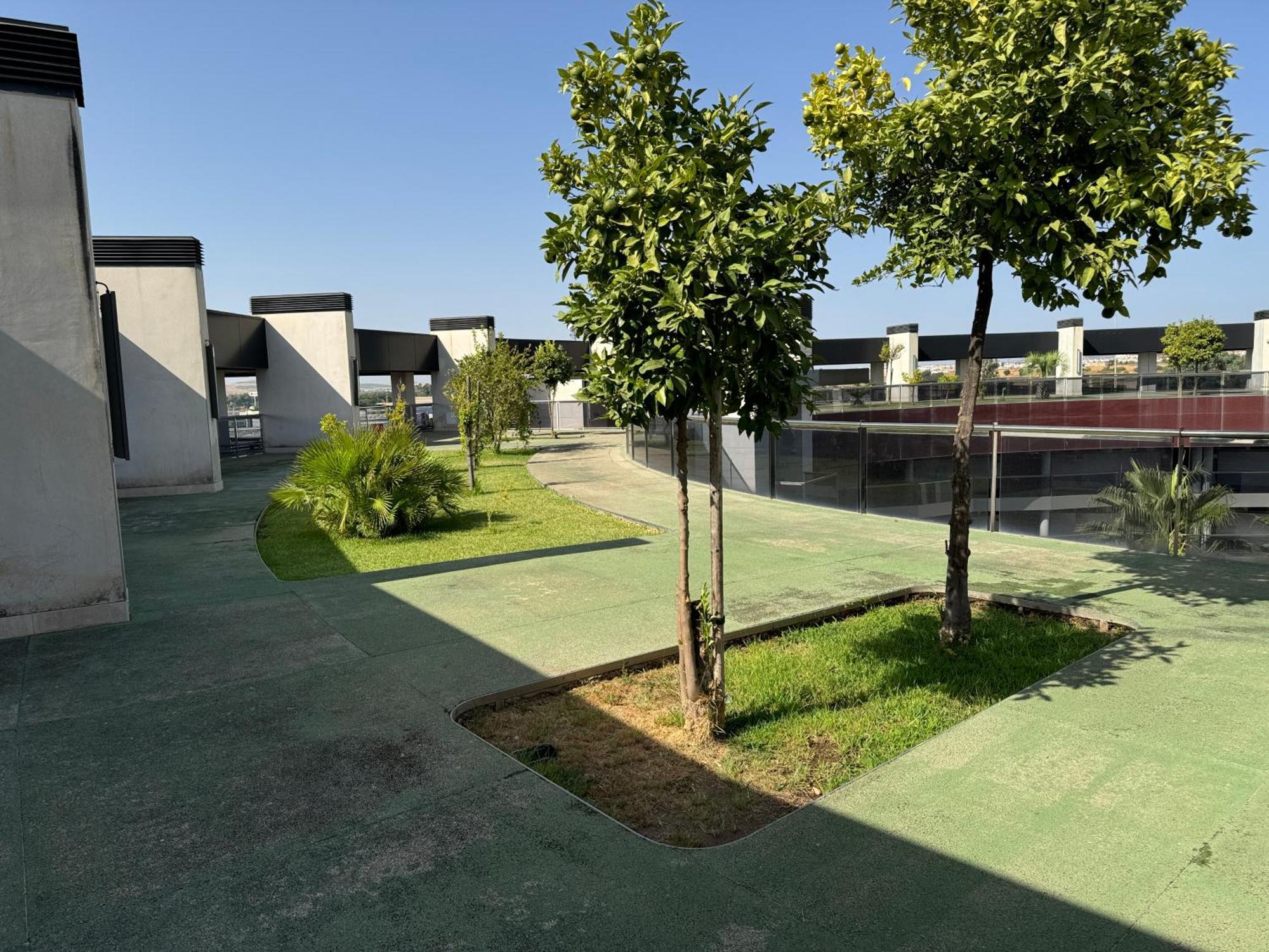 קורדובה Apartamento Cotur 121 Parking Gratuito מראה חיצוני תמונה